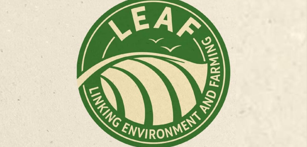 Pelo 4.º ano consecutivo, estamos certificados pelo referencial LEAF